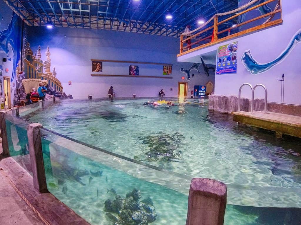 Aldine, TX 18 Houston Interactive Aquarium Animal Preserve