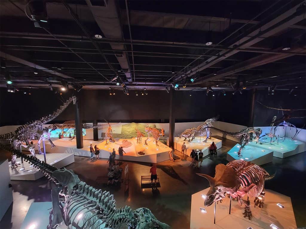 Houston, TX 18 Houston Museum of Natural Science